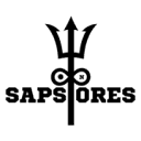 sapstores.in logo