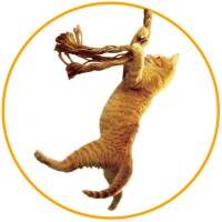Save the Cat! logo