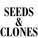 Seeds & Clones logo