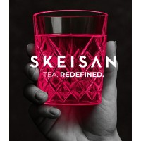 SKEISAN logo