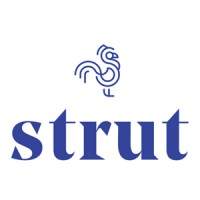 Strut Health logo