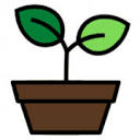 Support Plante logo