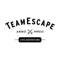 TeamEscape logo