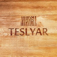 Teslyar logo