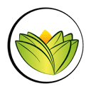 The Ayurveda Experience logo