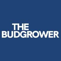 TheBudGrower logo