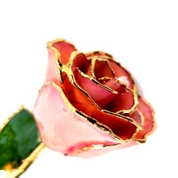 The Forever Rose logo