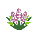 Tryyucca logo