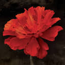 Hadestown - UK (CA affiliates) logo