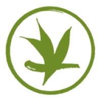 Verdant Tea logo